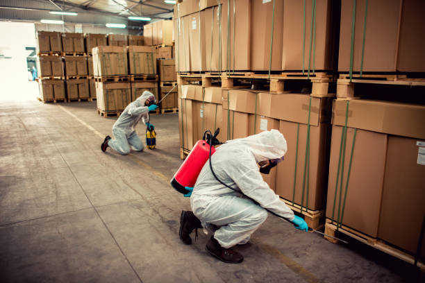 Best Wildlife Control Services  in Jarrell, TX