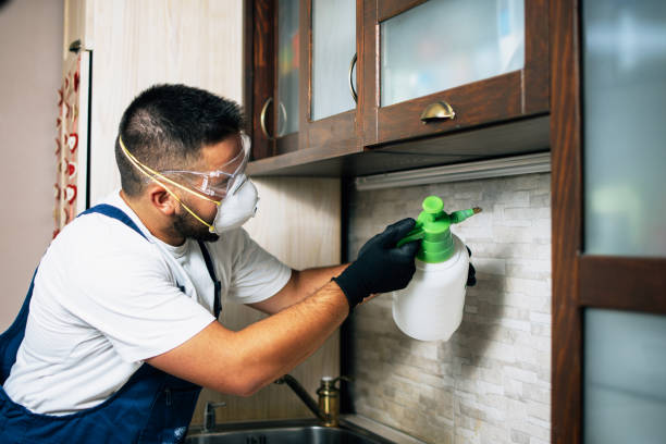 Pest Control Cost in Jarrell, TX