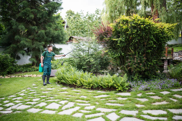 Best Best Pest Control Companies  in Jarrell, TX