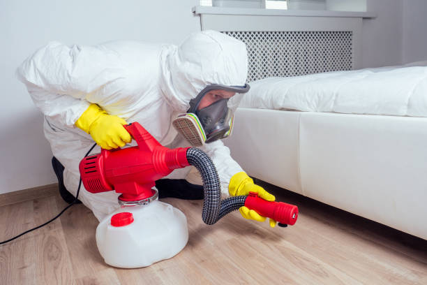 Best Affordable Pest Control Services  in Jarrell, TX
