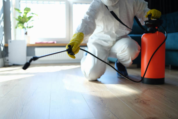 Best Best Pest Control Companies  in Jarrell, TX