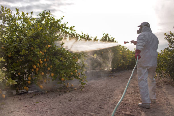 Best Pest Control Cost  in Jarrell, TX