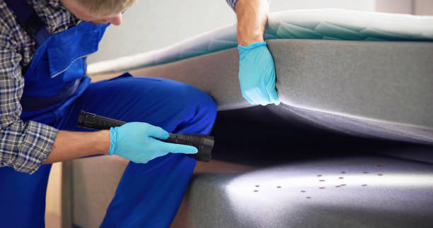 Best Emergency Pest Control  in Jarrell, TX