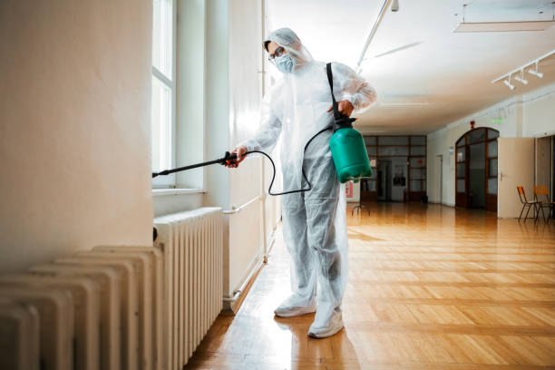 Best Pest Prevention Services  in Jarrell, TX