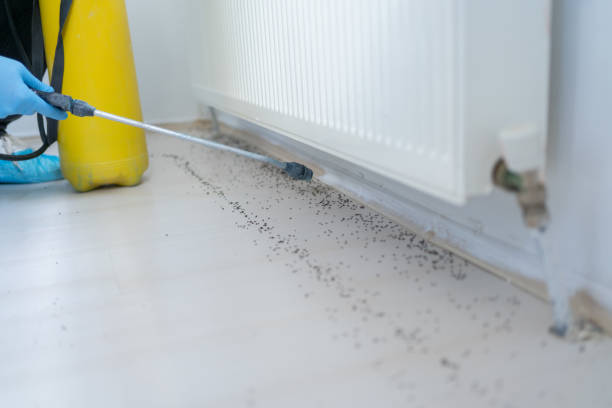 Best Pest Control Near Me  in Jarrell, TX