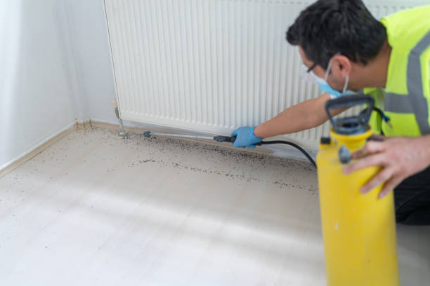 Best Affordable Pest Control Services  in Jarrell, TX