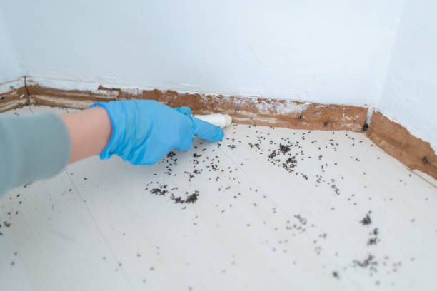 Jarrell, TX Pest Control Company