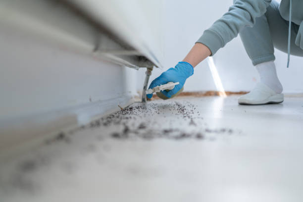 Best Cockroach Control Services  in Jarrell, TX